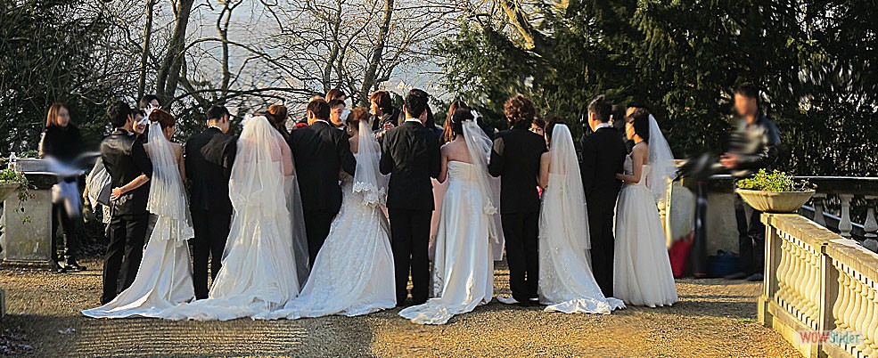 Wedding and Memorable Event, we Take Care You!